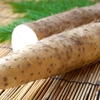 【冬におすすめ野菜】　長芋でお腹の調子を整える　初めてでもシンプルな調理法・食べ方を解説！