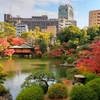 神戸　相楽園　都会のオアシスの紅葉