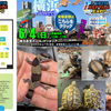 2023.6.4 EXOTIC REPTILE EXPO(横浜) 出店参加