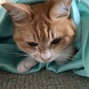 お直し完了