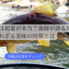 鮎は初夏が本当？漁師が語る知られざる美味の時期とは