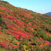 9月2日　2012年　紅葉時期の車両交通規制（マイカー規制）について