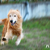 　　　　運動の秋　〜ヤングメンズ編　