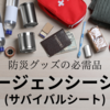緊急時の強い味方！Eco Ride Worldの防災サバイバルシート✨購入レビュー