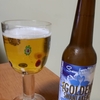 498 GOLDEN SWANLAKE ALE