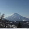 雪解け到来