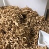 くろごまあん32日目