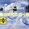 最近始めたポイ活の話