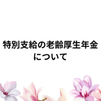 老齢厚生年金の特別支給