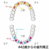 【調整23回目】ブラオフまでの期間予測は「およそ4ヶ月」