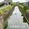 モルグ街への道　   豊津駅前すいせん堂