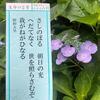 2019（令和1）年6月のおついたち　　朝日の光 へだてなく