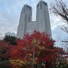 （紹介：植物）「新宿中央公園」の12月の様子を紹介します