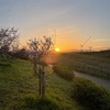 日の出と桜を独り占め。