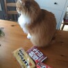 お土産にいただいた納豆。