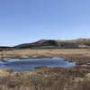 八島湿原ハイキングとゼブラ山、北の耳、南の耳登山！駐車場と宿泊施設の詳細！
