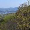 鐘撞堂山　芽吹き