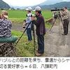 珍鳥アネハヅルを見たい　鳥亀爺が八頭町に殺到