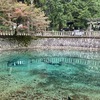 2021年11月3日　中国自然歩道5日目　山口県美祢市於福～美祢市秋吉台　どこまでも続くカルスト台地を歩く