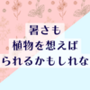 暑いのは嫌だけど緑が元気なのは、嬉しい