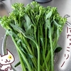 はなっこりーを料理して食べるよ【熟女の野菜生活】