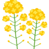 今年の繁忙期は
