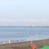 LUMINA OPEN WATER SWIM SCHOOL (初級)