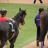 【2歳新馬2024】良血グラフレナート1.6倍、ルメールを背に６着