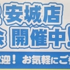 豊浜出船の秋の釣り物コース 絶好調です！