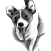 甘いものの話・犬の絵２