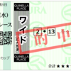 好きな馬は100円でいいから単勝を買おうね、わたし