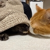 るるもな写真集vol. 24「鼻ちゅー」