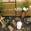  祝『お食事会』