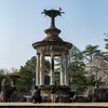 2026-03-29 鶴舞散歩