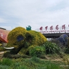 昆明世界園芸博覧園と金殿 ガラクタ5A級