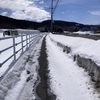 こんな日は走りたい