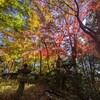 滄浪泉園に紅葉をみに行ってみた。門標文字は犬養毅氏の自筆。（小金井市貫井南町）