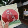 小布施町　竹風堂 小布施本店　栗粒あんのどら焼山をご紹介！🌰