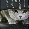 「挫折を経て、猫は丸くなった。」（天久聖一）