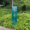 【牧野公園】まさに『歩ける植物図鑑』「らんまん」の舞台には　癒し・出会い・感動　旅に求めるものが待っていた