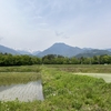2025/05/14 水曜日　5月の満月