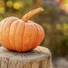 バターナッツかぼちゃがまずいって本当？甘くないのは食べごろじゃないから？