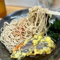 葛西　めんや　その七　〜茄子のそばを極めてみる　その十三〜