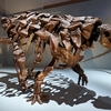 【古生物紹介】デンバーサウルス(Denversaurus)