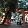 新宿の主　花園神社　100年前の日本の写真とともに　日本人は昔から花園が好き　忘れられた日本