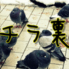 2025年の読了記