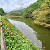 中田池（岐阜県関ヶ原）