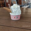 三条市　Gelateria COCO（ジェラテリア ココ）　なめらかソフトクリーム