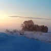 朝靄（あさもや）の風景