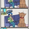 『ほら、ここにも猫』・第245話「くしゃみとタライ」 
